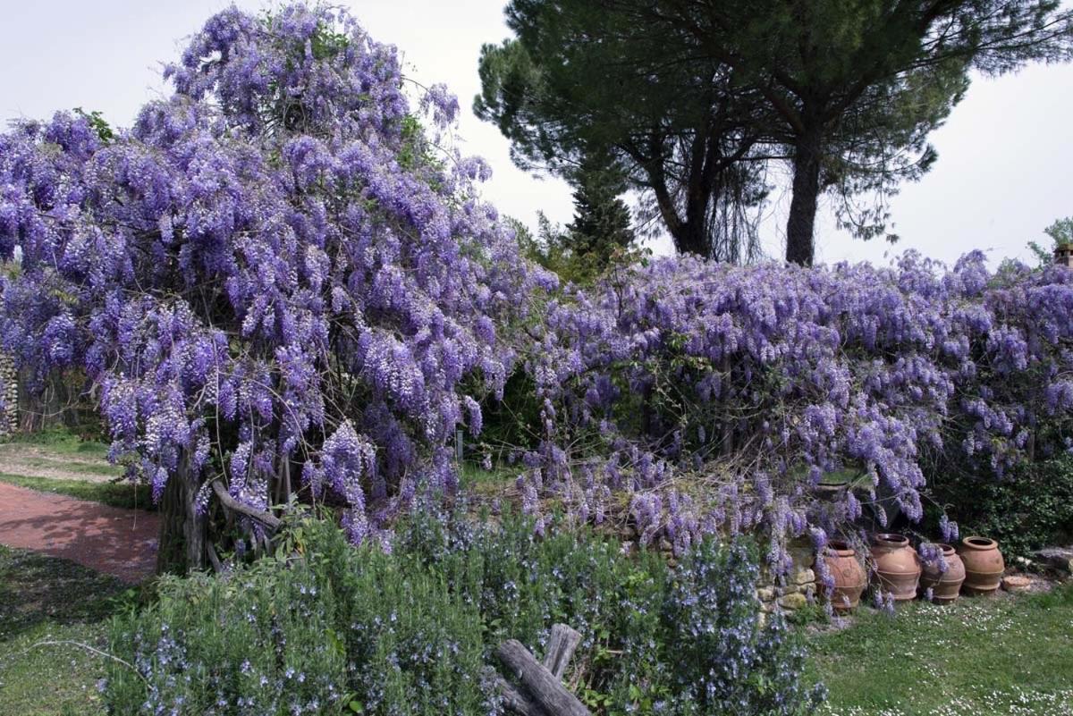 Molino In Chianti Villa Mercatale Val Di Pesa Ngoại thất bức ảnh